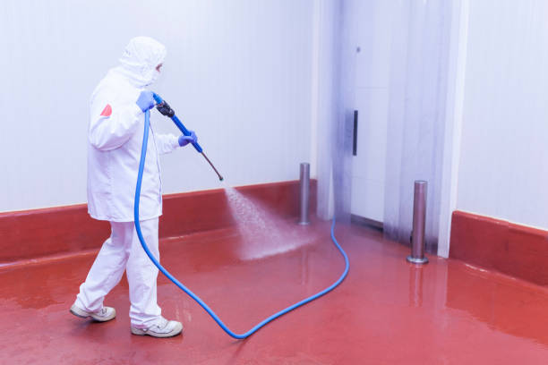 Best Roof Washing  in Thatcher, UT